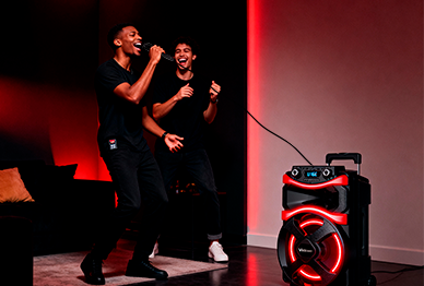 cantar junto com meus artistas favoritos